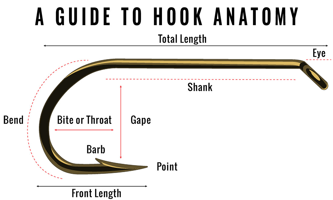 Beginner Fly Tying: Fly Fishing Hook Anatomy