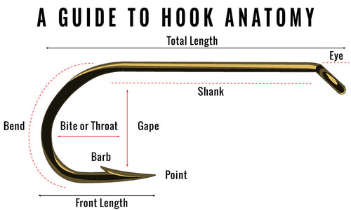 fly fishing hook anatomy