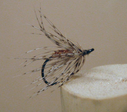soft hackle fly
