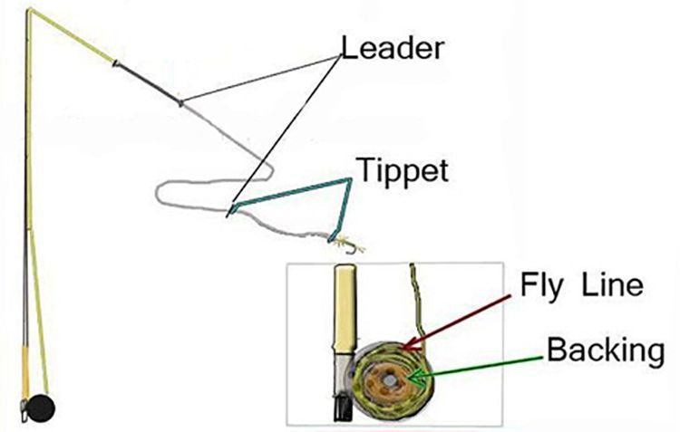Fly Fishing Leader, Tippet & Backing