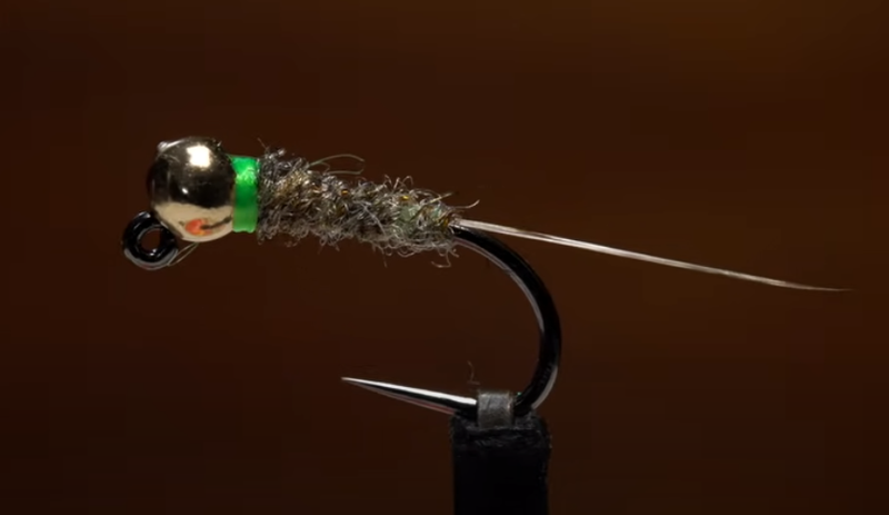 Corded Cased Caddis