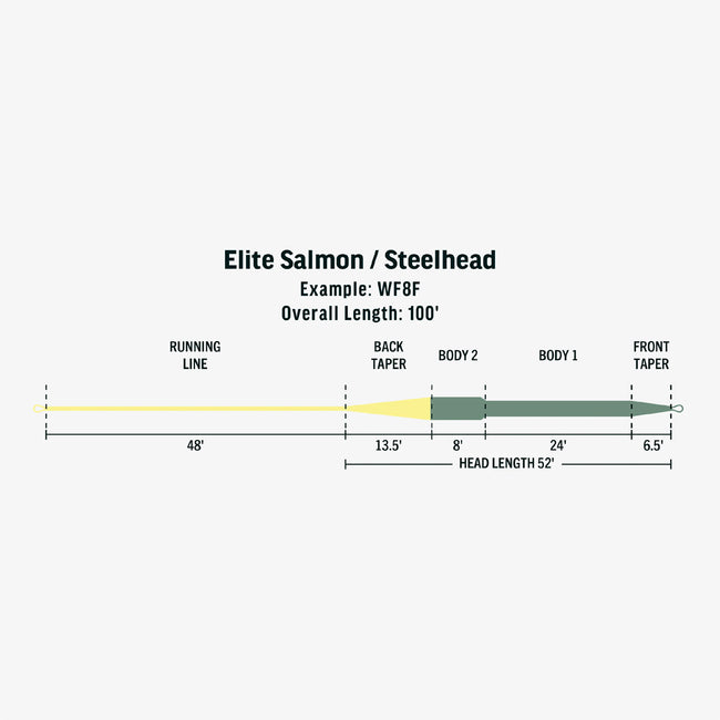 Elite Salmon/Steelhead Fly Line