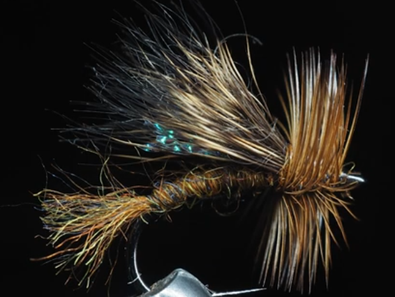 Dirty Bug Yarn Caddis