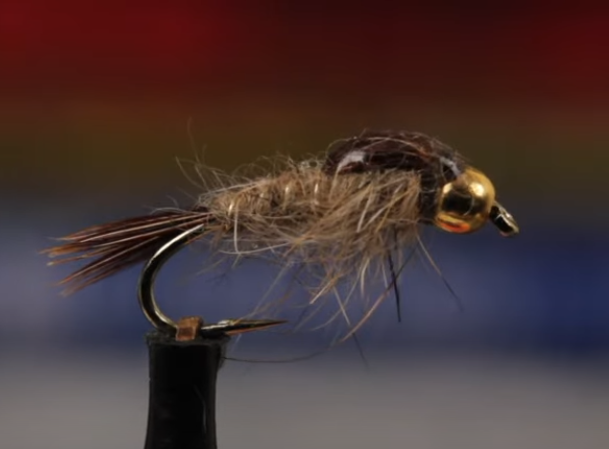 Gold Ribbed Hare's Ear Nymph