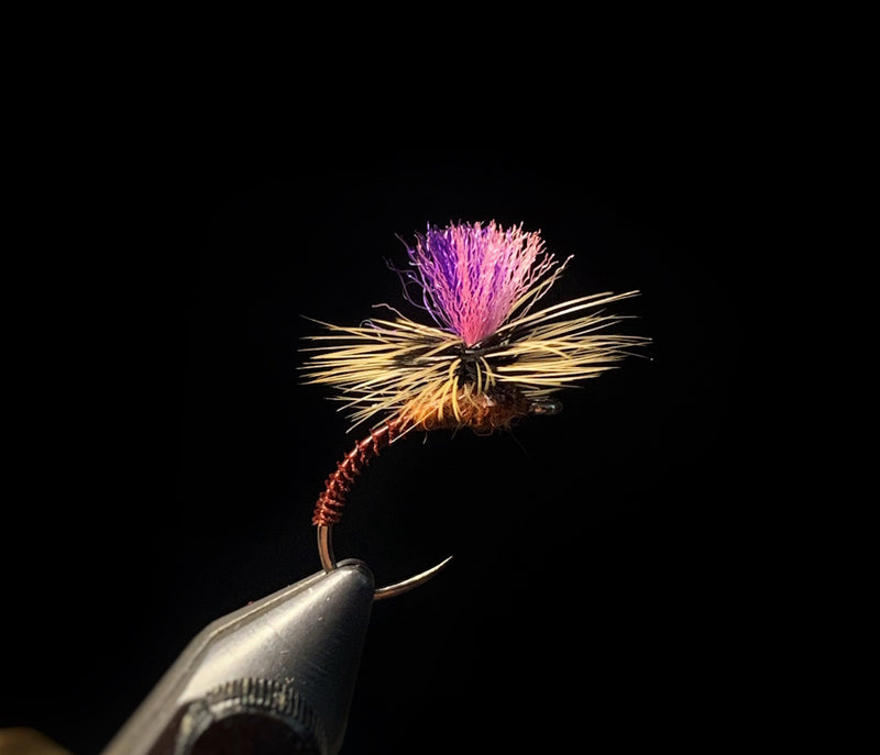 Bi-Colored Iso Klink