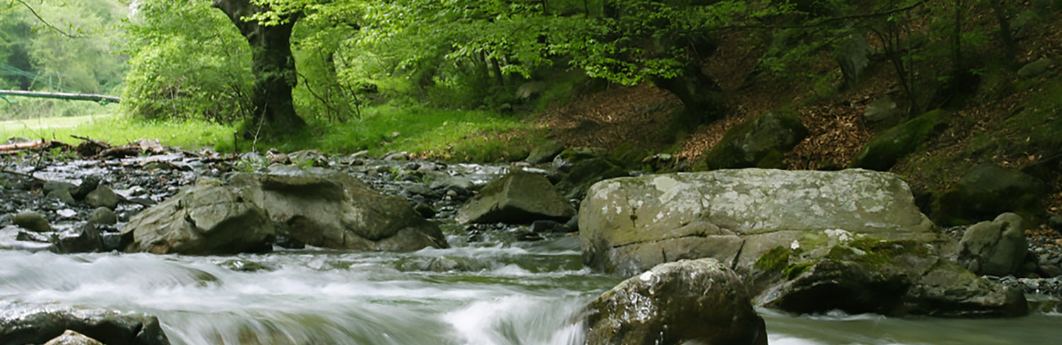 river_2000x650_74fc565e-f3cd-4dec-b591-7bde39a08e1