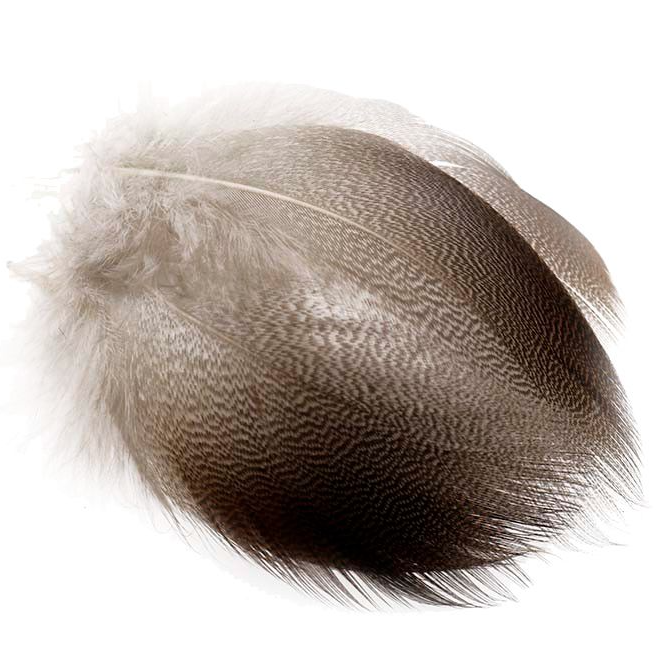 Bronze Mallard Flank– J. Stockard Fly Fishing