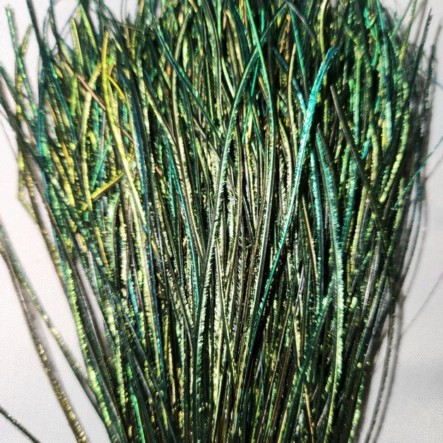 Dyed Peacock Strung Herl