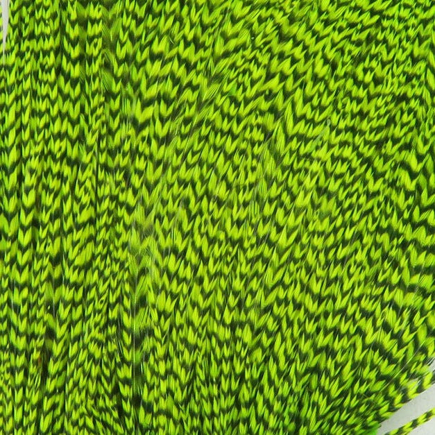 Vibrant Grizzly Half Cape | Premium Feathers | J Stockard – J