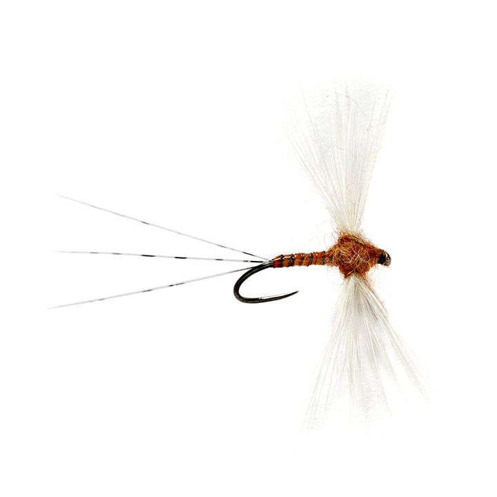 barbless lure steelhead fishing Fulling Mill FM5050 Ultimate Dry Barbless Black Nickel Hook 14