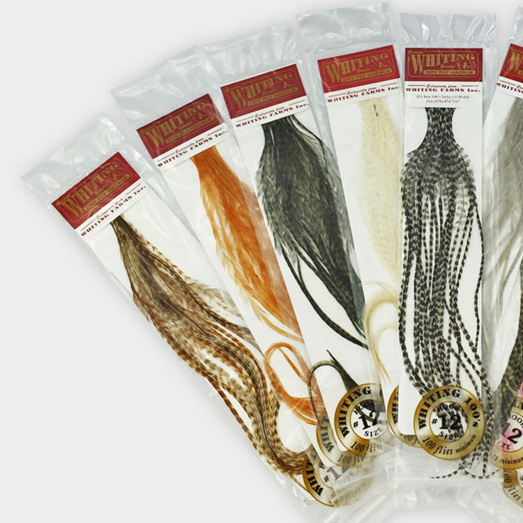 Whiting 100 Packs Premium Dry Fly Hackle | J. Stockard
