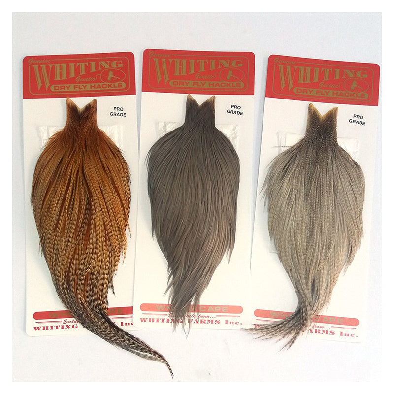 Dry Fly Cape - Pro Grade | Whiting Farms | J Stockard