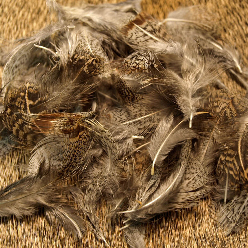 Premium Partridge Nature's Spirit J Stockard - Main Image