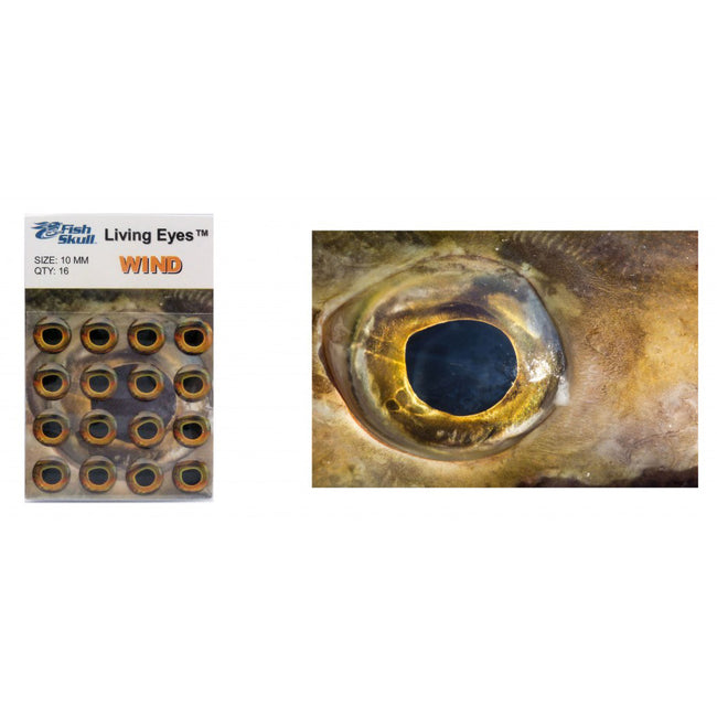 Fish-Skull Living Eyes