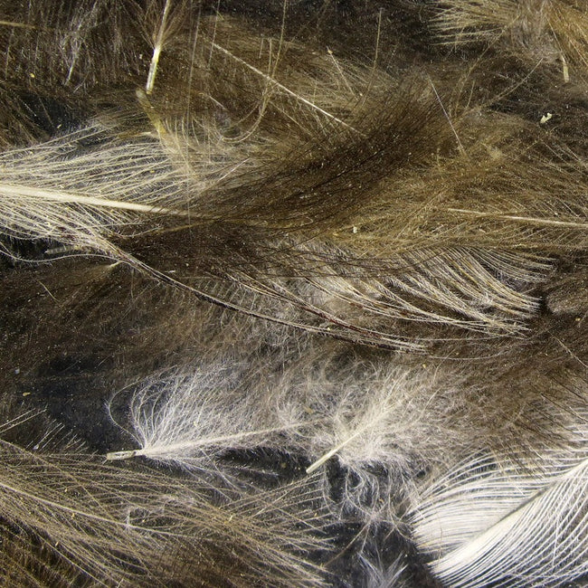 Cul de Canard Feathers