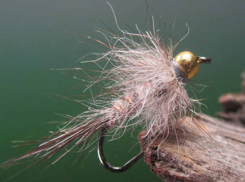 Gold Bead Possie Nymph