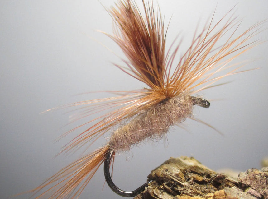 March Brown Parachute