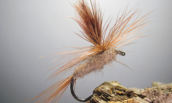 Thoughts on the Fly  J. Stockard Fly Fishing's Blog