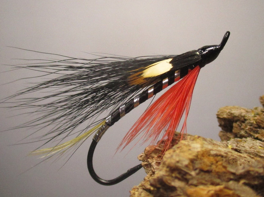 Black Demon fly pattern