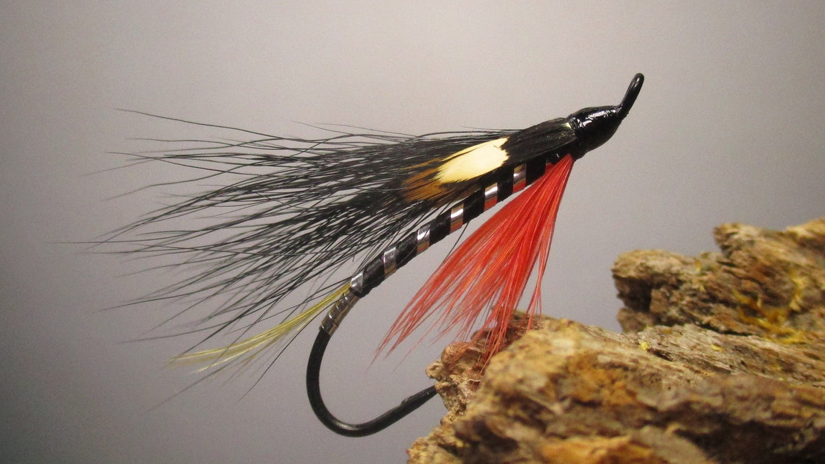 Fly of the Month - Black Demon streamer variation fly