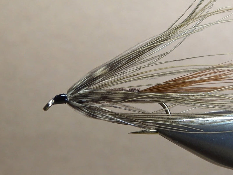 Carey Special