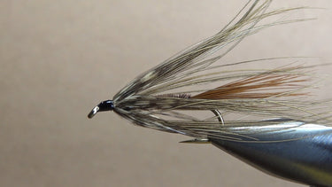 Carey Special