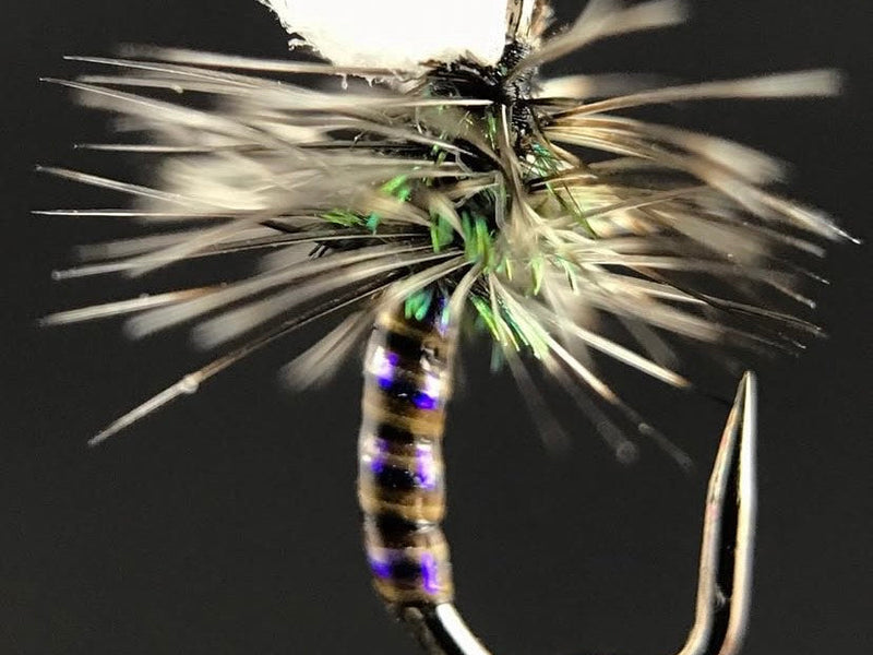 Sprout Midge Emerger