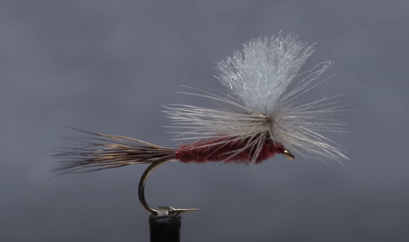 Isonychia Parachute Dry Fly