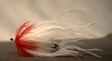 Matt Meahan's Steelhead Shank Intruder