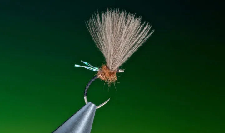 Midge Emerger