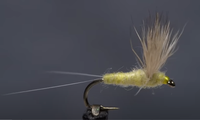 Sulphur Comparadun