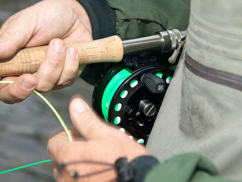 fly line 