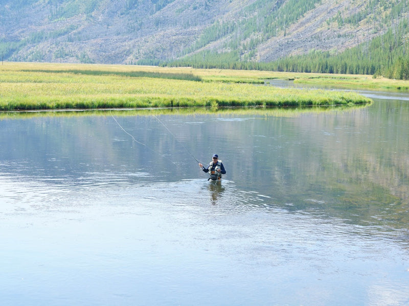 leader and tippet tips for trout fishing
