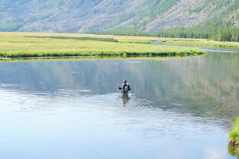 leader and tippet tips for trout fishing