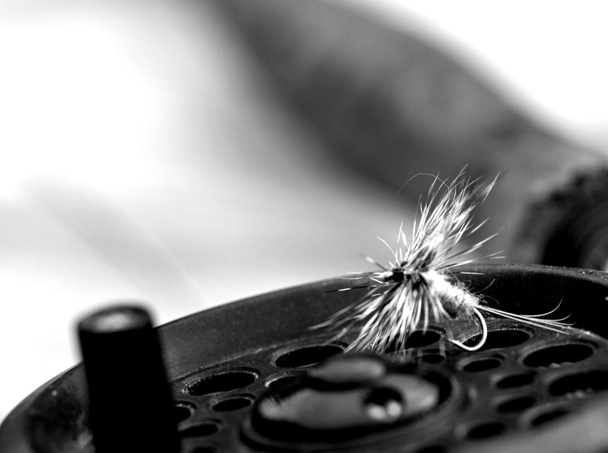 why do dry flies sink