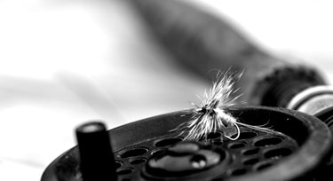 why do dry flies sink