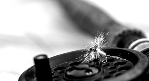 why do dry flies sink