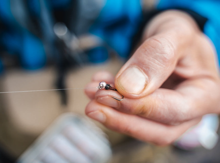 beads in a nymph