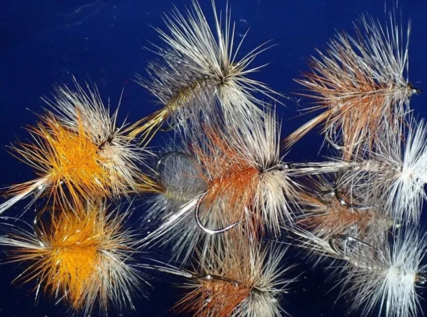 Simple Flies - The Bivisible Fly