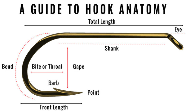 fly fishing hook anatomy