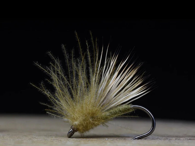 Fly of the Month - CDC and Elk Hair Caddis