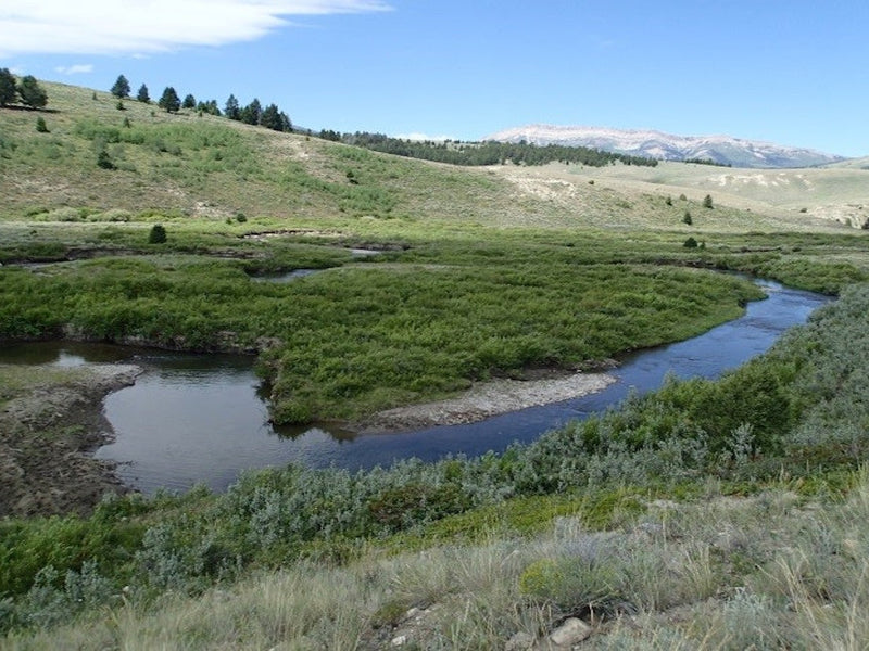 Ruby River