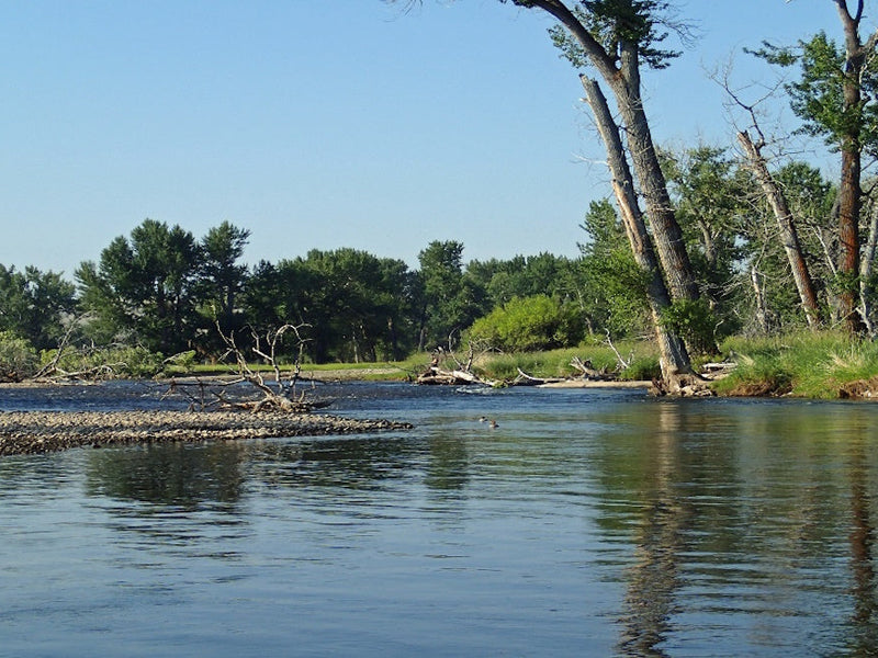 Day Trip - Lower Big Hole River
