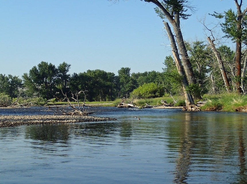 Day Trip - Lower Big Hole River
