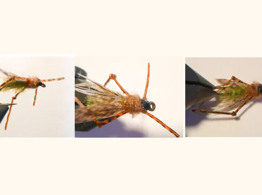 Drowned Hopper Fly