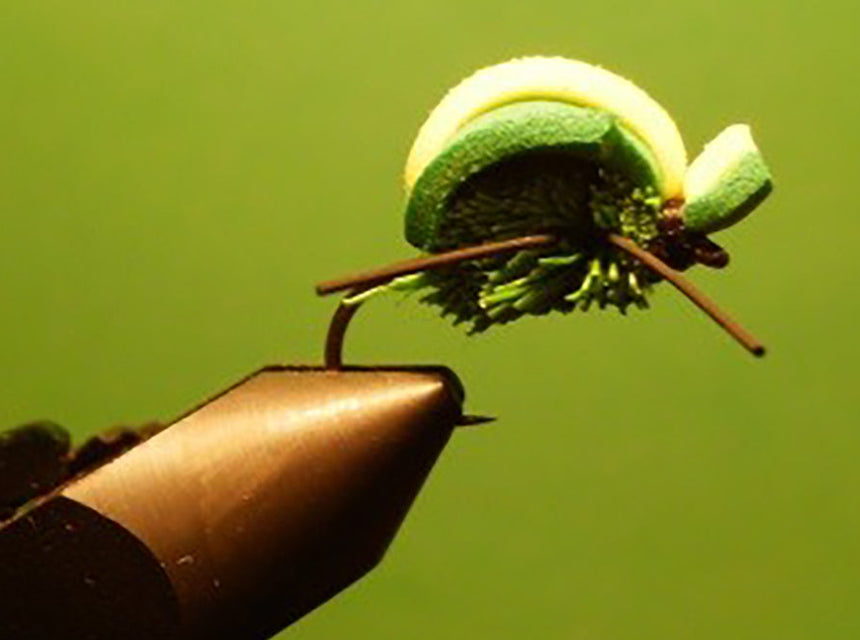 killer beetle fly pattern