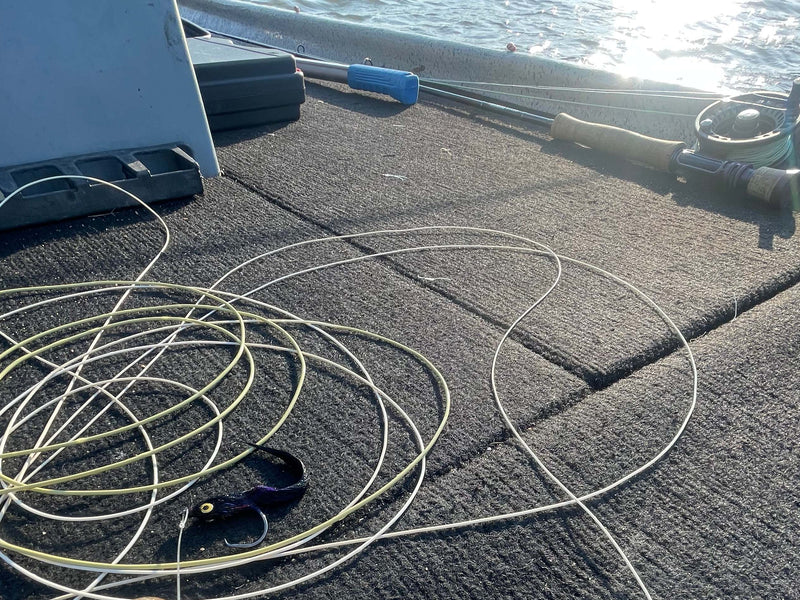 Fly line