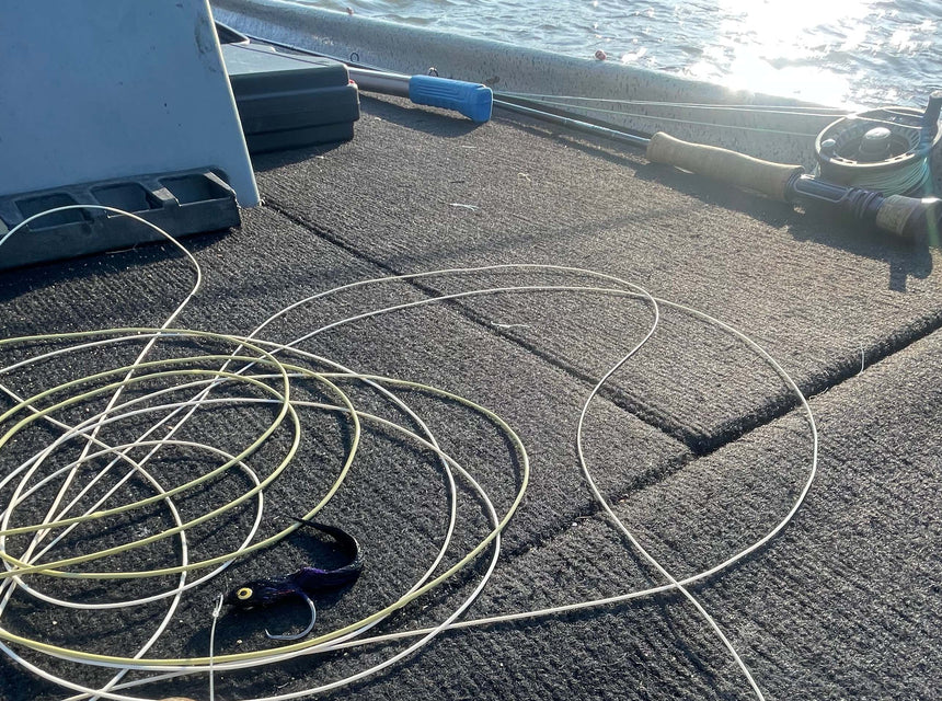 Fly line