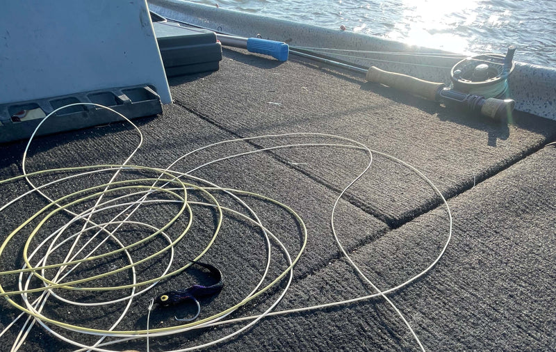 Fly line