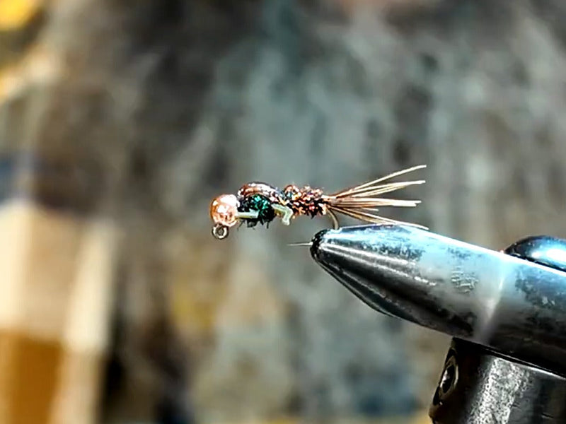 FLY OF THE MONTH - Celtic Blob’s Pheasant Tail